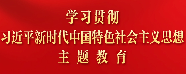学习贯彻习大大新时代中国特色社会主义思想主题教育专题网站