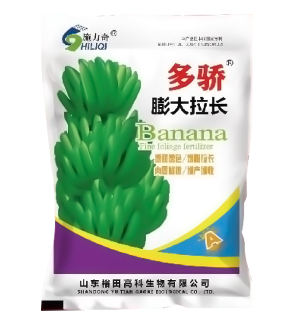 多驕膨大拉長(zhǎng)